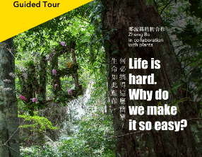 Life is hard. Why do we make it so easy? Artist Talk